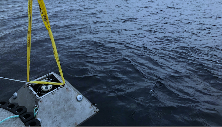 Partrac wraps up metocean work for ScotWind bidder