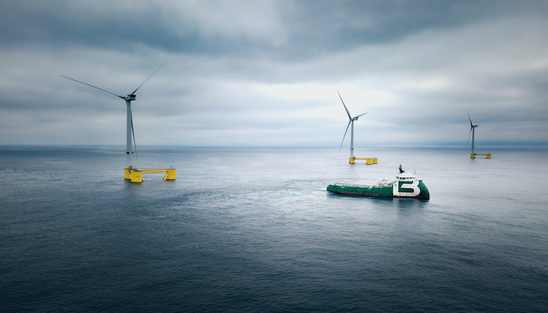 Erebus hires seabird survey support
