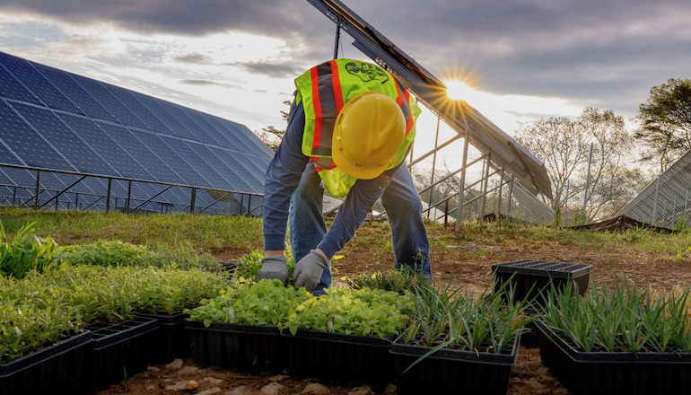 Greenbacker acquires 80MW South Dakota solar Greenbacker acquires 80MW South Dakota solar