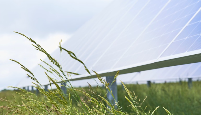 European Energy team wins approval for UK solar scheme