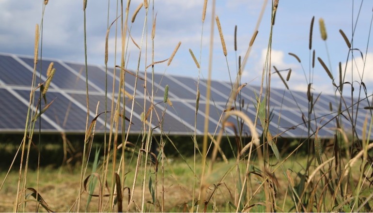 Solarcentury fully integrated into Statkraft UK 'could deploy 80GW of PV by 2030'