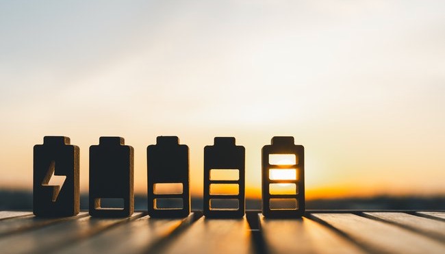 Blue Elephant acquires stake in German BESS firm Blue Elephant acquires stake in German BESS firm