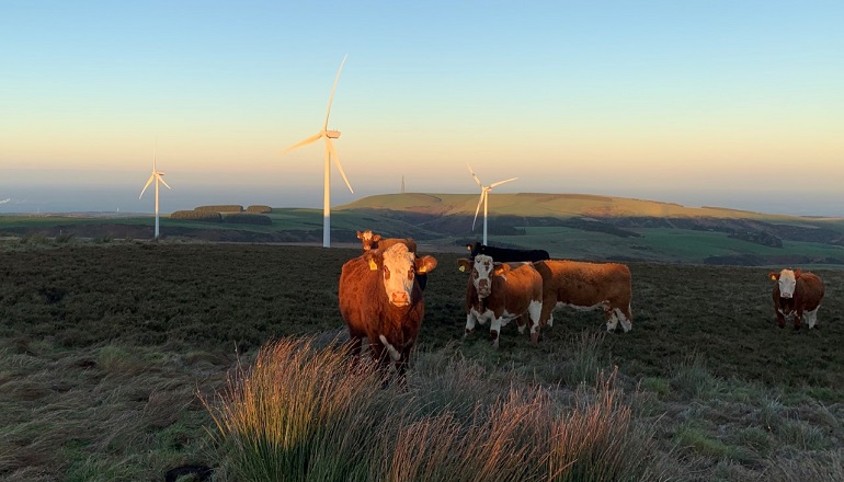 Scoop Hill redesign cuts turbines to 60 Scoop Hill redesign cuts turbines to 60