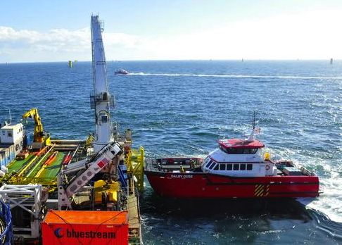 Dalby joins Dudgeon crew