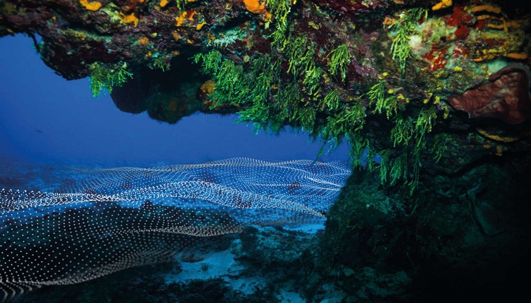Fugro partners with offshore geo-energy outfit