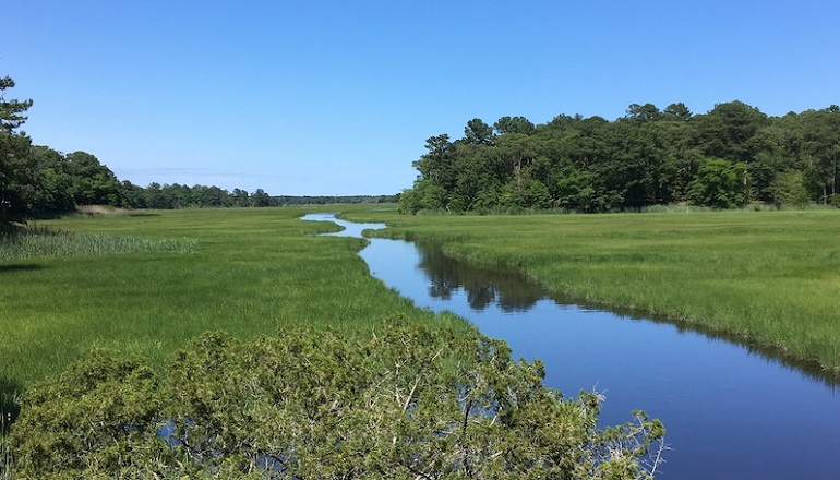 Orsted provides $50,000 for Delaware eco restoration Orsted provides $50
