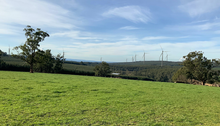 Oz developer all ears on 200MW wind proposals Oz developer all ears on 200MW wind proposals