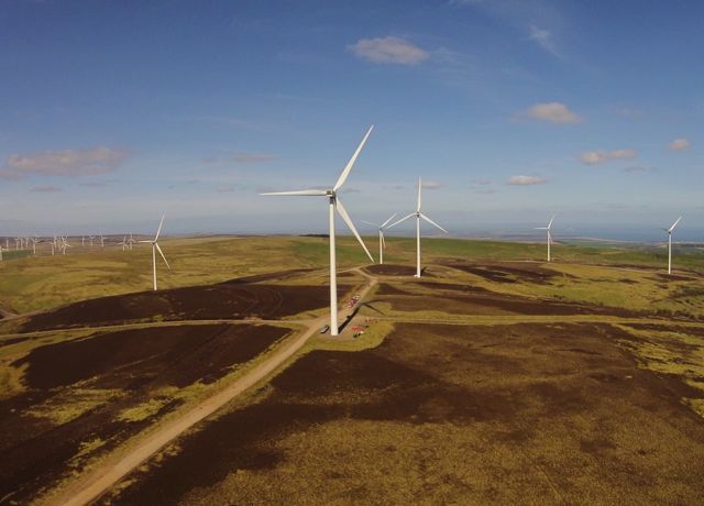 Nestle sweet on Scottish wind