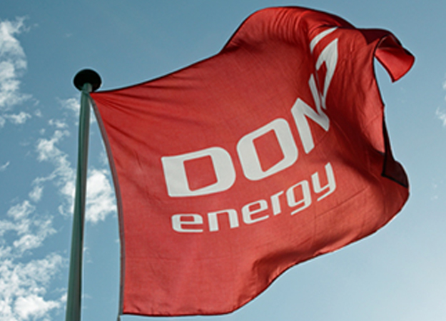 Dong picks new investor head