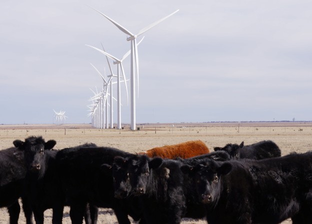 EDF EN double dip in Mexico