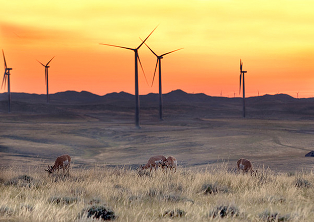Duke Energy powers up 207MW Iowa wind project Duke turns sod on 200MW Mesteno
