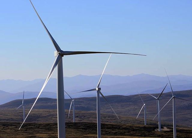 Peat study sets out wind farm benefits Peat study sets out wind farm benefits