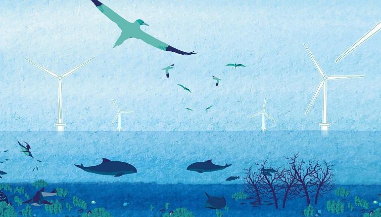 Ecowende unveils plan for ‘nature-friendly’ offshore wind Ecowende unveils plan for ‘nature-friendly' offshore wind
