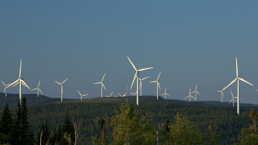 Southern snags Texan wind