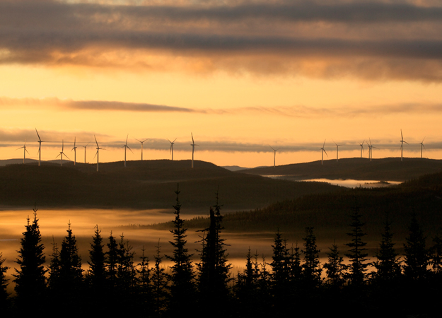 Developers ‘must take care' over nature risks