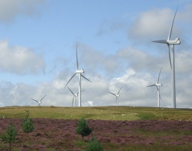 EDF swoops on 300MW of German wind EDF swoops on 300MW of German wind