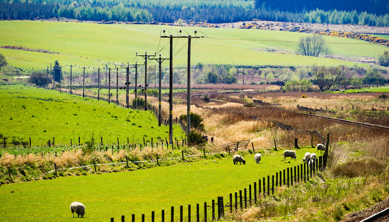 ‘Step change needed in distribution grid investment’ ‘Step change needed in distribution grid investment'