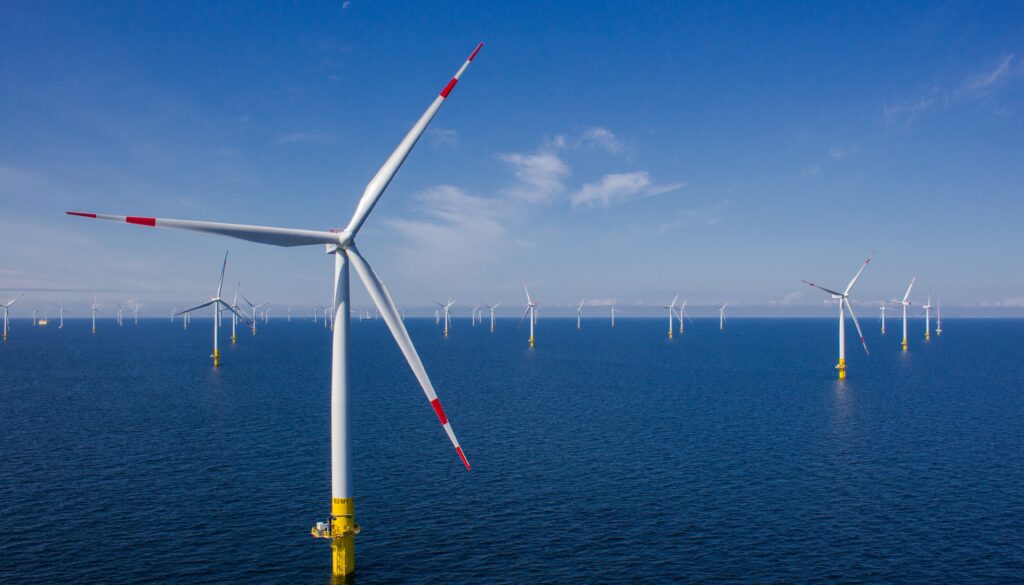 Vårgrønn completes Baltic 2 stake acquisition RPS to study Morven environmental impacts
