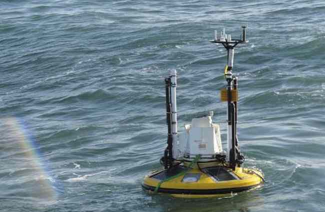 Dutch seek metocean guru