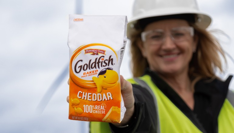 Campbell Soup to buy power from Enel US wind farm