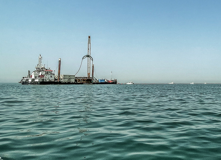 Enshore seals Senegal cable gig Enshore seals Senegal cable gig