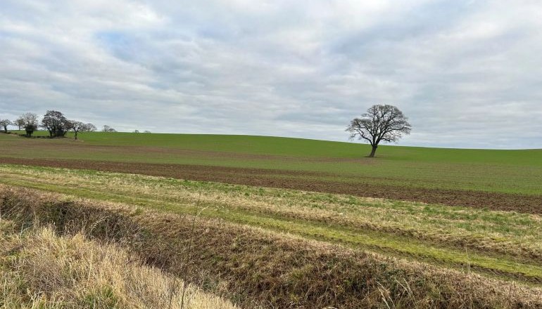Enviromena wins appeal for 40MW solar farm Enviromena wins appeal for 40MW solar farm