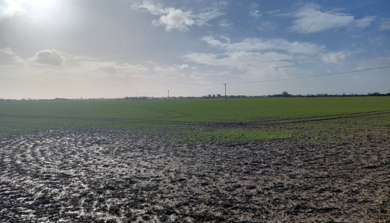Enviromena wins consent for Kent solar