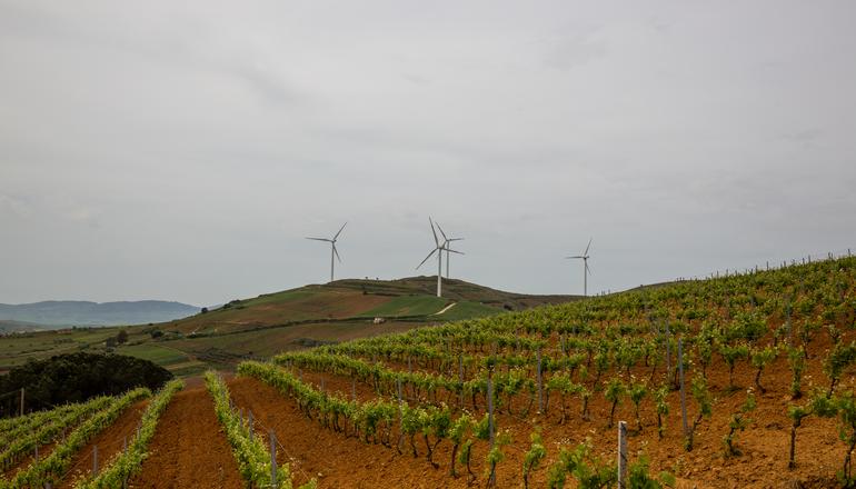 RWE takes FID on two Italian wind farms