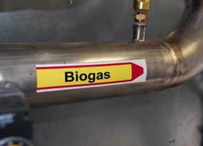 Weltec plans German bio upgrade