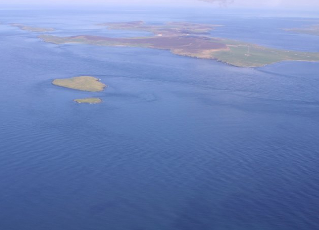 EMEC to trial US tidal project Scots marine tackles biofouling
