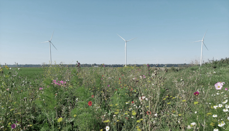 Vattenfall in 950MW wind permit push in Germany Vattenfall in 950MW wind permit push in Germany