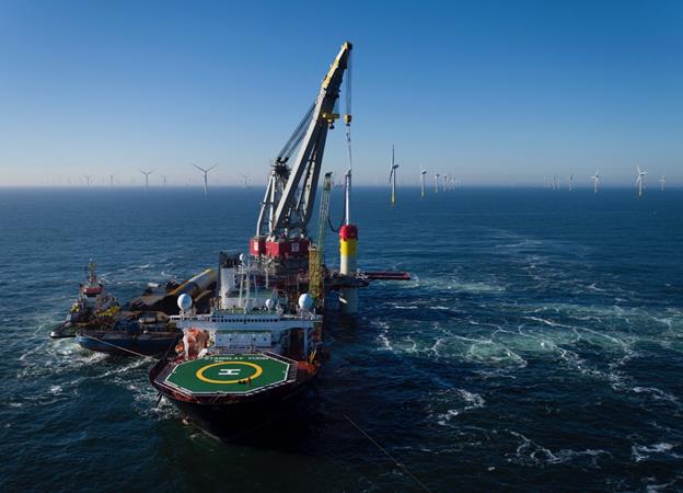 DOC on Borkum 2.2 cable role Borkum 2.2 plants first root
