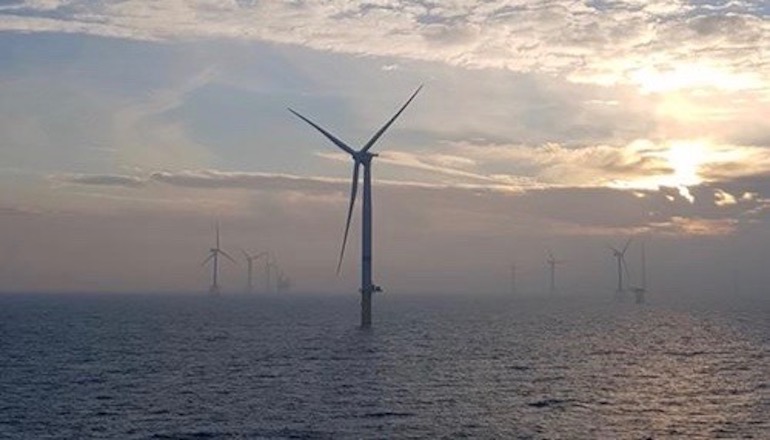TRIG ups stake in German offshore wind farm