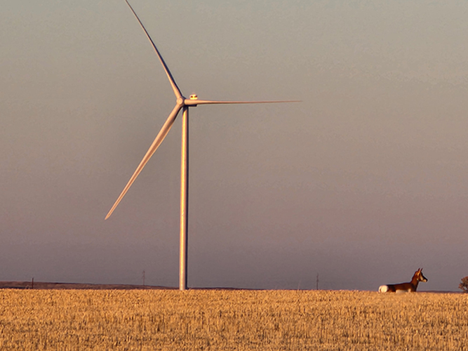 Acciona installs final turbine at 280MW wind farm