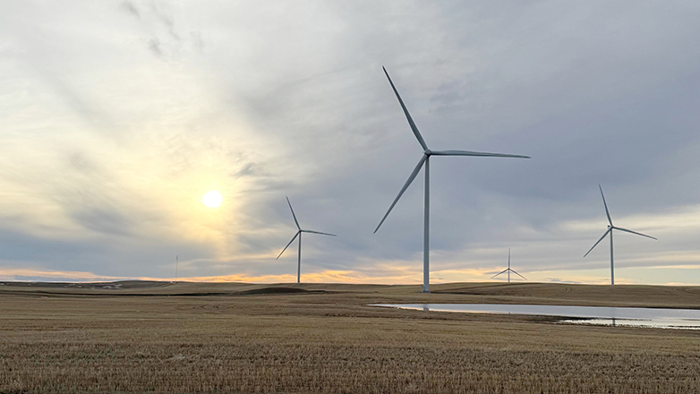 Acciona commissions 280MW Forty Mile
