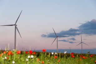 French wind industry urges for wind framework French wind industry urges for wind framework