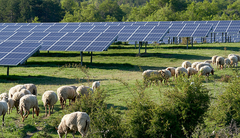 Neoen wins 164MWp of French PV projects Neoen wins 164MWp of French PV projects