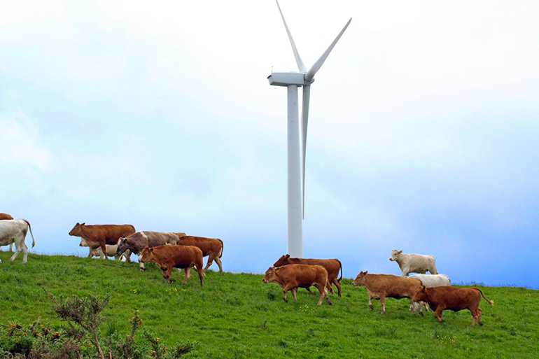 Adamas Wind agrees Galetech JV Adamas Wind agrees Galetech JV