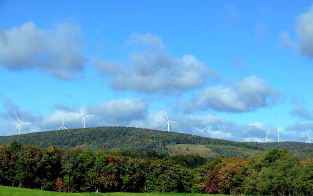 John Laing shuffles Welsh pack