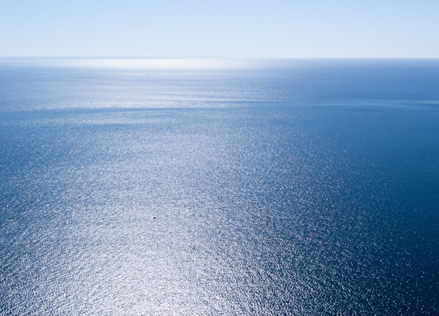 US Wind dives into offshore survey US Wind dives into offshore survey