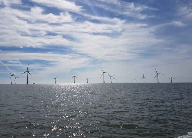 SOWEC warns seabird impact methods flawed SRE