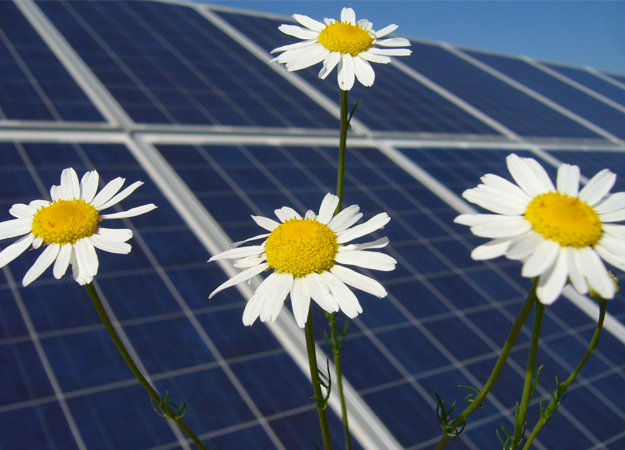 Rānui starts work on 31MW Twin Rivers site Infracapital agrees sale of solar PV platform Infram
