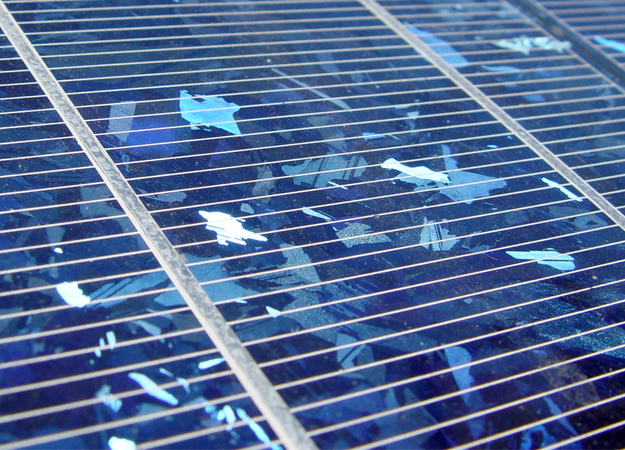 Clearvise seals Italian PV cooperation deal Solar scores German tender rout
