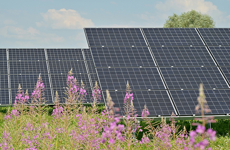 Rezolv picks contractors for 229MW Bulgarian PV park