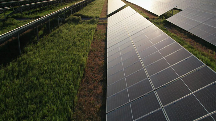 Solar and storage lead US power build INTEC seals Italian EPC job