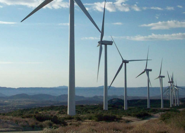 US DoE targets environmental impact of wind US DoE targets environmental impact of wind