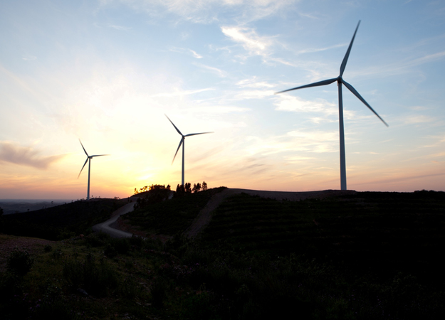 European policy risks wind