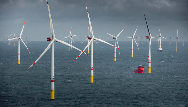 Dutch consultancy assists Northland offshore