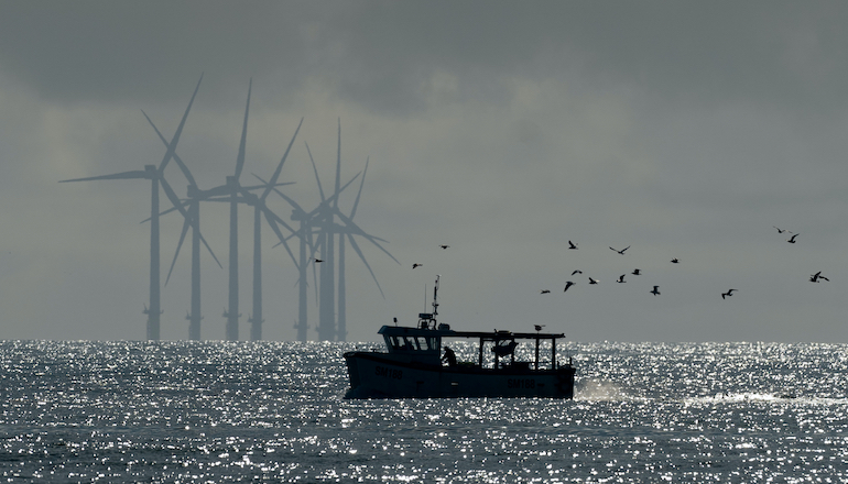 Offshore industry hails LED scallop fishing drive OX2 applies for permit for 1.8GW Swedish offshore giant