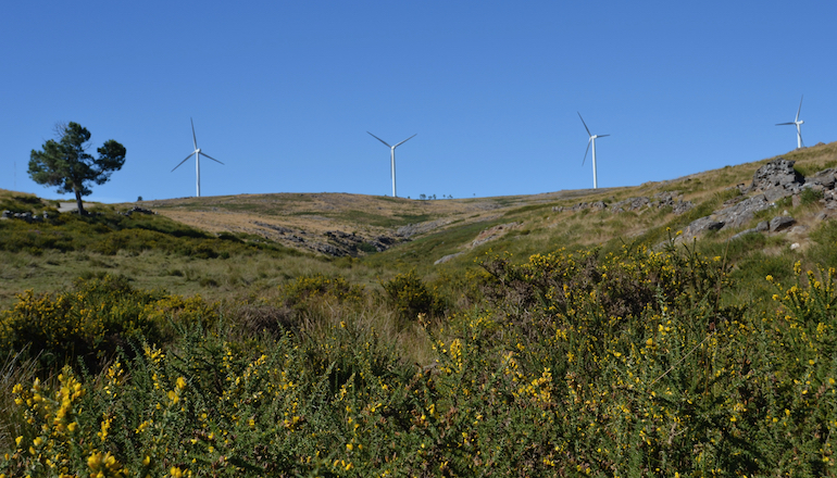 Swiss investor acquires six French wind farms Scotland just misses out on 2020 clean power goal